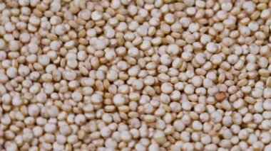 Kinoa pişmemiş, doku makrosu. Seçici odaklanma. Yavaş çekim.