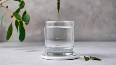 Klorofil özü bardaktaki saf suya dökülür. Sıvı klorofil, süper yiyecek, sağlıklı beslenme, detoks ve diyet..