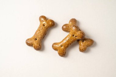 Evcil hayvan maması, kemik şekilli köpek maması veya atıştırmalık