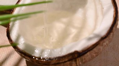 Taze hindistan cevizi ve hindistan cevizi suyu, günlük bitkisiz vejetaryen sütü