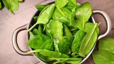 Taze ıspanak yeşili yapraklar. Sağlıklı yiyecekler. Salata yaprakları.