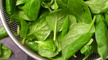 Taze ıspanak yeşili yapraklar. Sağlıklı yiyecekler. Salata yaprakları.