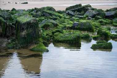 Burunlar sahili ve uçurum manzarasını gösterir. Kuzey İngiltere 'nin İngiliz Kanalı kıyıları. Hartlepool, İngiltere. 