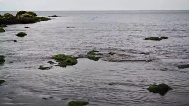 Burunlar sahili ve uçurum manzarasını gösterir. Kuzey İngiltere 'nin İngiliz Kanalı kıyıları. Hartlepool, İngiltere. 