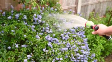 Bahçeyi sulayan hortumlu ve su jetli bir erkek..