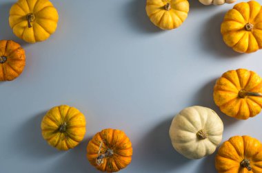 Mavi arka planda sonbahar balkabakları. Şükran Günü ya da Cadılar Bayramı soyut şablonu