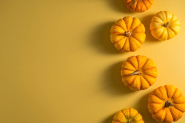 Sarı üzerine sonbahar balkabakları. Şükran Günü ya da Cadılar Bayramı. Soyut arkaplanı düşür