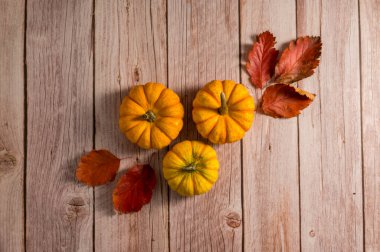 Sonbahar balkabağı arka planı. Turuncu ve beyaz mini kabaklar, köy tarzı.