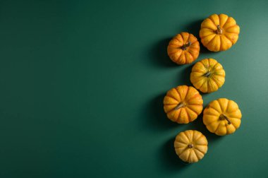 Sonbahar balkabağı kabakları. Şükran Günü ya da Cadılar Bayramı konsepti. Sonbahar arkaplanı