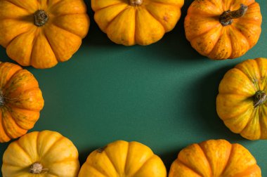 Sonbahar balkabağı kabakları. Şükran Günü ya da Cadılar Bayramı konsepti. Sonbahar arkaplanı