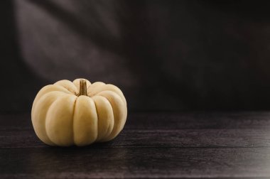 Koyu arkaplanda tam beyaz balkabağı, soyut sonbahar, konsept, kopyalama alanı.