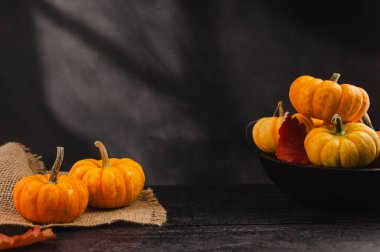 Koyu arkaplanda turuncu balkabakları, soyut sonbahar, konsept, kopyalama alanı.