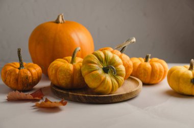 Parlak arkaplanda turuncu balkabağı grubu, soyut sonbahar, konsept.