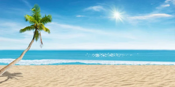 Summer Vacation Travel Trip Concept Folhas Palma Praia Areia Com — Fotografia de Stock