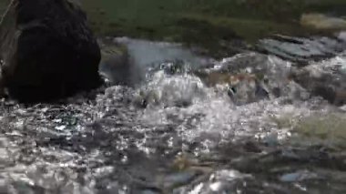 Nehirdeki su akışının doğal arka planı taşların arasından akıyor..