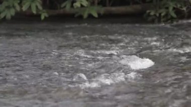 Nehirdeki su akışının doğal arka planı taşların arasından akıyor..