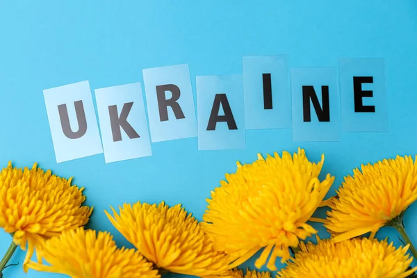 Mavi arka planda Ukrayna bayrağı ve sarı kasımpatı kavramı