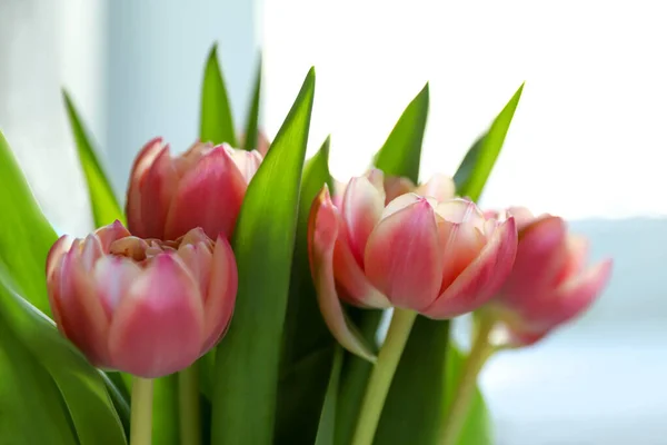 Tender late tulips bunch of pink and white flowers, floral wallpaper