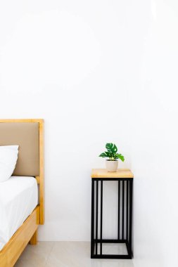 Yatak odasındaki saksıda canavar bitkisi var.