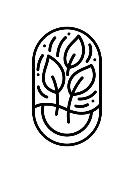 用于咖啡或农产品标签生态标志有机植物设计的病媒茶或树叶 圆形国徽线性风格 自然产品设计 化妆品 生态概念的老式抽象图标 — 图库矢量图片