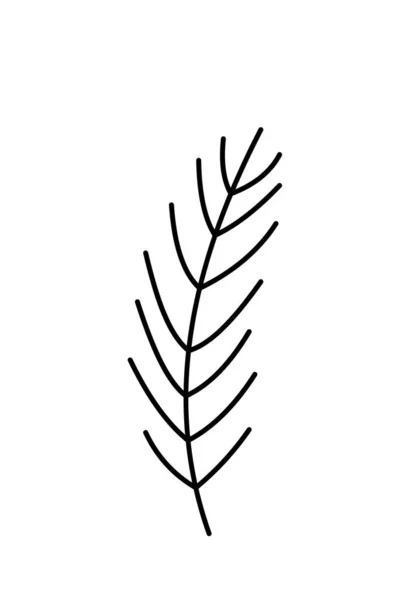 Sprig Winter Pine Fir Spruce Coniferous Tree Branch Vector Icon — Stock Vector