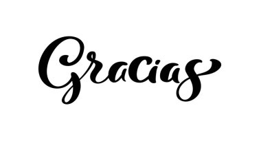 Thank you vector lettering text in spanish Gracias. Hand drawn phrase. Handwritten modern brush calligraphy for invitation and greeting card, t-shirt, prints and posters.