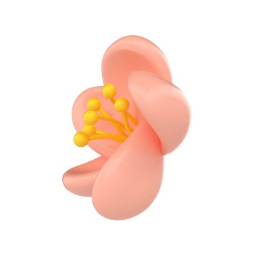 3D icon render spring Cherry Blossom Sakura illustration. Simple and cute petal isolated on white background with clipping path.