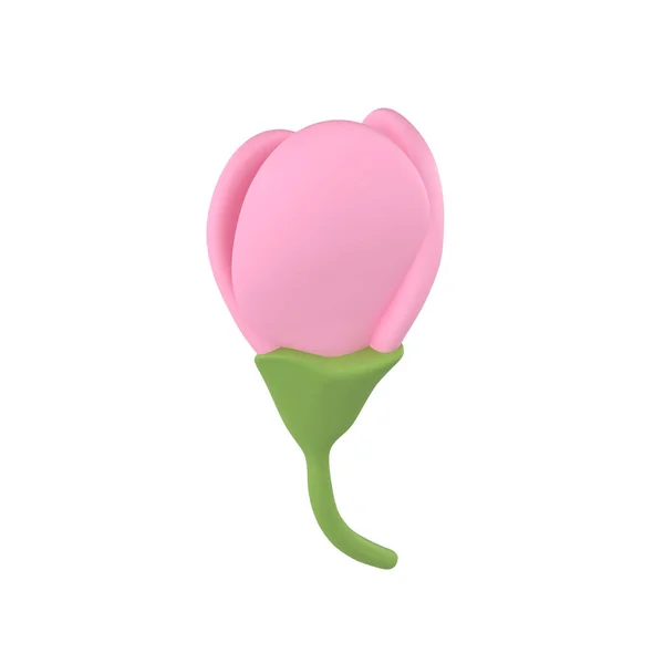 Ikona Renderowania Wiosna Kwiat Wiśni Nieotwarte Pąki Kwiat Sakura Ilustracja — Zdjęcie stockowe