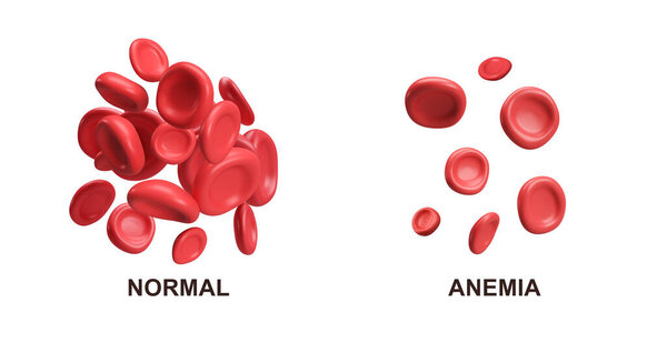 3d flow red blood cells iron platelets erythrocyte. Normal and Anemia. Realistic medical analysis illustration on white background with clipping path.