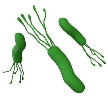 Helicobacter pylori bakterisi 3D kesme yolu ile izole edilmiş logo için gerçekçi tıp ikonu oluşturur. Mikrobiyoloji, insan sağlığı illüstrasyonu.