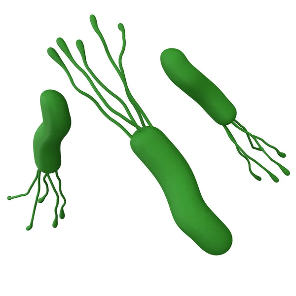Helicobacter Pylori Bacteria 경로가 로고를 현실적 의약품 아이콘을 만든다 미생물 — 스톡 사진
