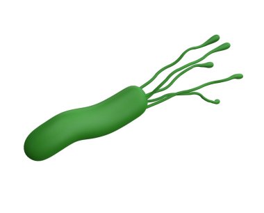 Helicobacter pylori bakterisi 3D kesme yolu ile izole edilmiş logo için gerçekçi tıp ikonu oluşturur. Mikrobiyoloji, insan sağlığı illüstrasyonu.