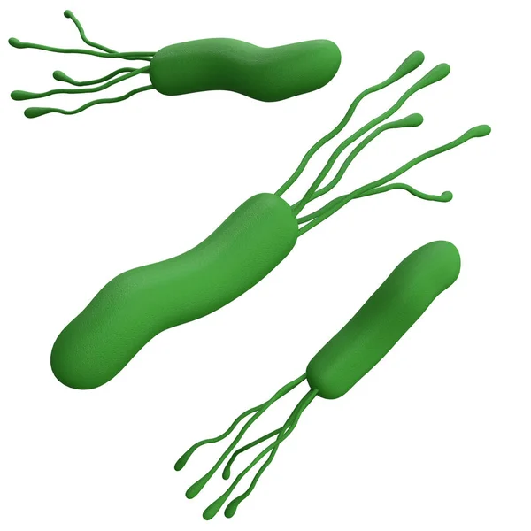 Helicobacter Pylori Bacteria Rendering Realistic Medicine Icon Logo Isolated Clipping — Stock fotografie