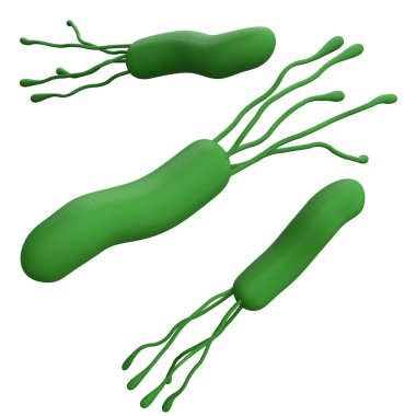 Helicobacter pylori bakterisi 3D kesme yolu ile izole edilmiş logo için gerçekçi tıp ikonu oluşturur. Mikrobiyoloji, insan sağlığı illüstrasyonu.