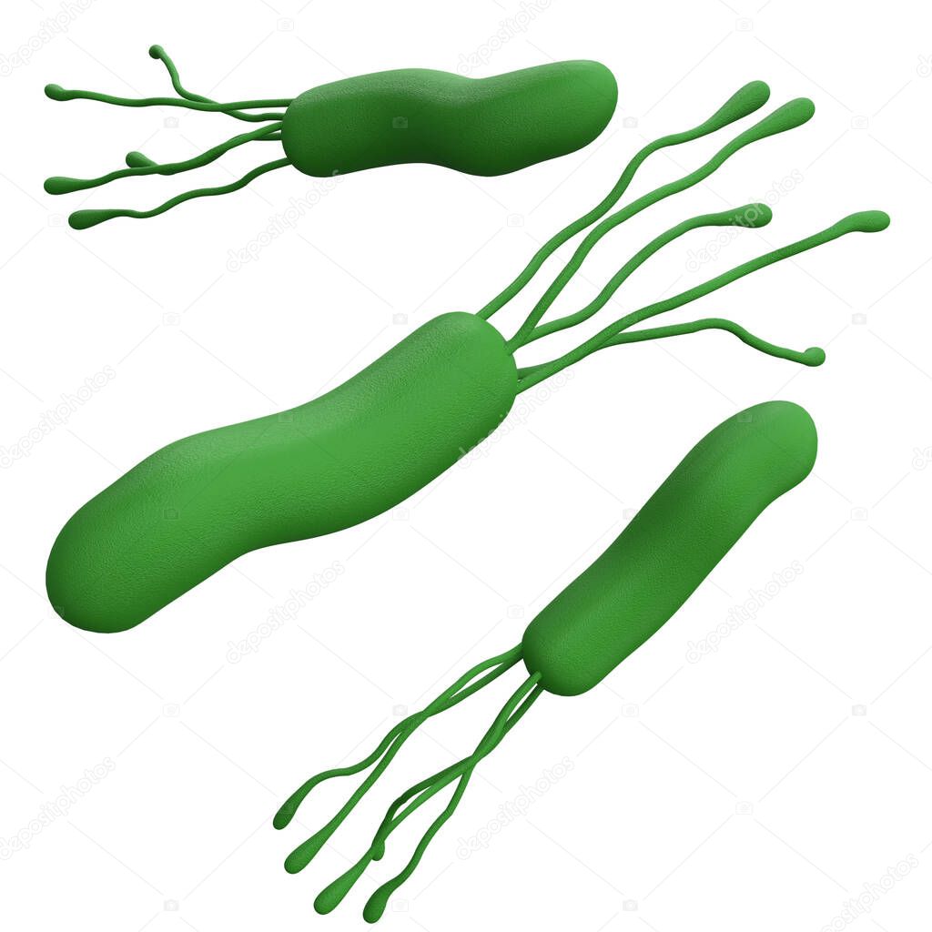 Helicobacter pylori bacteria 3d render realistic medicine icon for logo isolated with clipping path. Microbiology health human illustration.