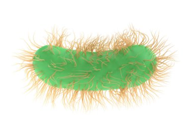 3D çizim Escherichia Coli bakteri ilacı, flagella mikroskobik görüşlü salmonella typhosa sıvısı. Tıbbi virüs, mikrop ve mikrop içeren bilimsel konsept, izole edilmiş.