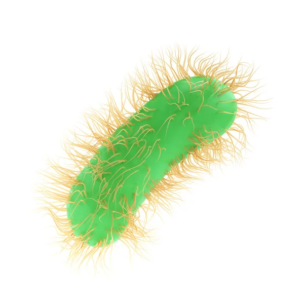 Render Illustration Escherichia Coli Bacterium Bacteria Medicine Salmonella Typhosa Flagella — Stock Photo, Image