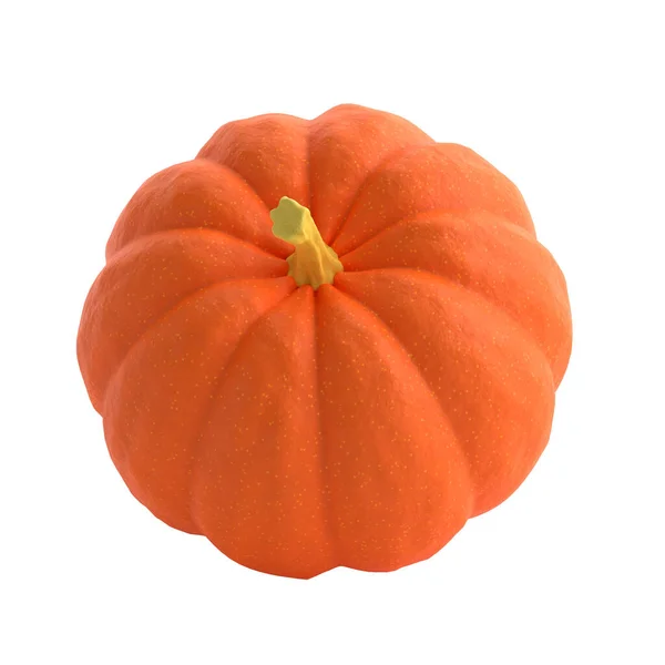 Orange Realistic Pumpkin Rendering Icon Cartoon Style Design Element Thanksgiving — Stock Photo, Image
