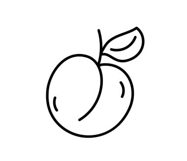 El çizimi şeftali, kayısı meyvesi ana hatları ikon vektör karalama çizimi, boyama kitabı, logo, illüstrasyon, çıkartma, kapak için uygun.