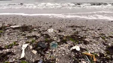 Kirli deniz kumlu kıyı çevre kirliliği ekolojik sorunu. Plaja dökülen çöpler boş kullanılmış plastik şişeler ve diğer kimyasal atıklar. HD video 1080x1920