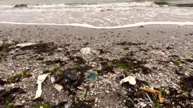 Kirli deniz kumlu kıyı çevre kirliliği ekolojik sorunu. Plaja dökülen çöpler boş kullanılmış plastik şişeler ve diğer kimyasal atıklar. HD video 1080x1920
