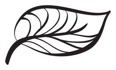 Bahar Soyut Yaprak Vektörü çizgi simgesi. Çocuk kitabı tasarımı ya da web, logo eko ürünü için klasik Minimal Style Illustration.