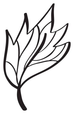 Vektör Soyut Yaprak çizgi simgesi. Çocuk kitabı tasarımı ya da web, logo eko ürünü için klasik Minimal Style Illustration.
