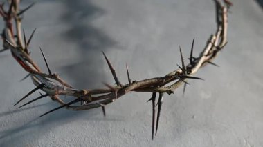 Kurumuş dikenli taç Hristiyan tutkusunu, dini acıları ve İsa 'nın acı dolu çarmıha gerilişini simgeliyor.