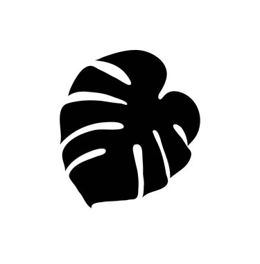 Siyah Monstera deliciosa vektör egzotik siluet dramatik yaprak şekli vurguluyor, simgesel kesme desenleri ortaya çıkarıyor Stark monokromatik arka plana karşı