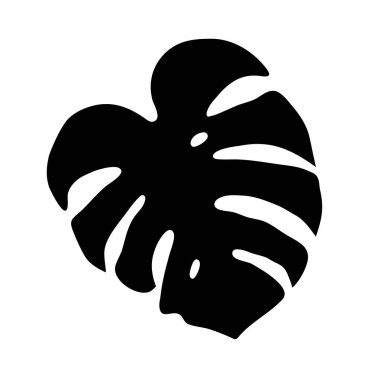 Siyah Monstera deliciosa vektör silueti dramatik yaprak şeklini vurguluyor, tek renkli arka plana karşı ikonik egzotik kesim desenleri ortaya çıkarıyor