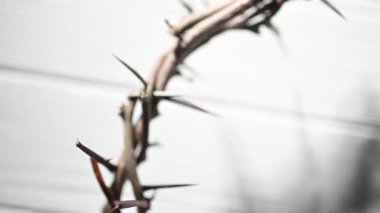 Dikenli taç, açık mavi ahşap bir duvara gölge düşürüyor. İsa 'nın dirilişinin acısını temsil ediyor.