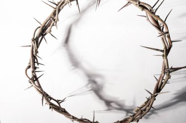 Dikenli taç, el değmemiş beyaz yüzeye dramatik bir gölge yansıtıyor, derin ruhsal fedakarlığı ve derin hatıraları simgeliyor.