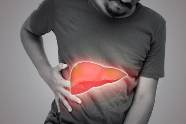 Karaciğerin resmi adamın vücudunda gri arka planda. Hepatit ve yağlı karaciğer sorunu olan bir adam..