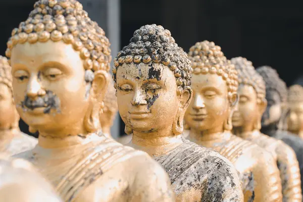 Ősi Buddha Képek Thaiföldön — Stock Fotó